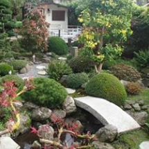 jardin japones